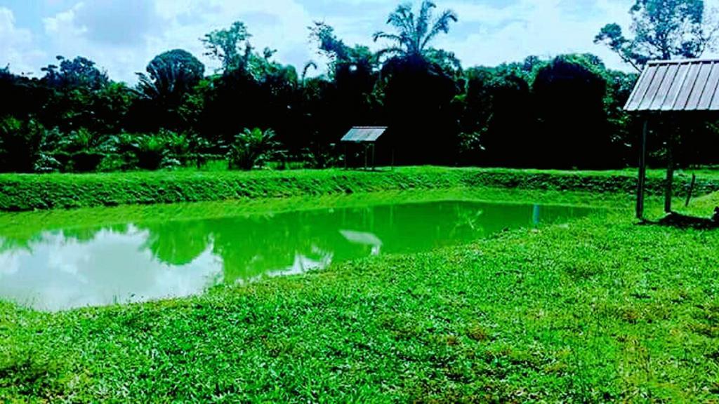 5 Stone Cabin Chalet Taiping Esterno foto
